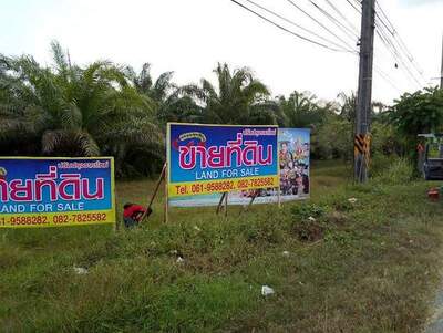 ขาย ที่ดิน ที่สวย ทำเลดี ตะกั่วทุ่ง พังงา