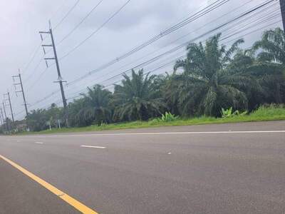 ขาย ที่ดิน ที่สวย ทำเลดี ตะกั่วทุ่ง พังงา