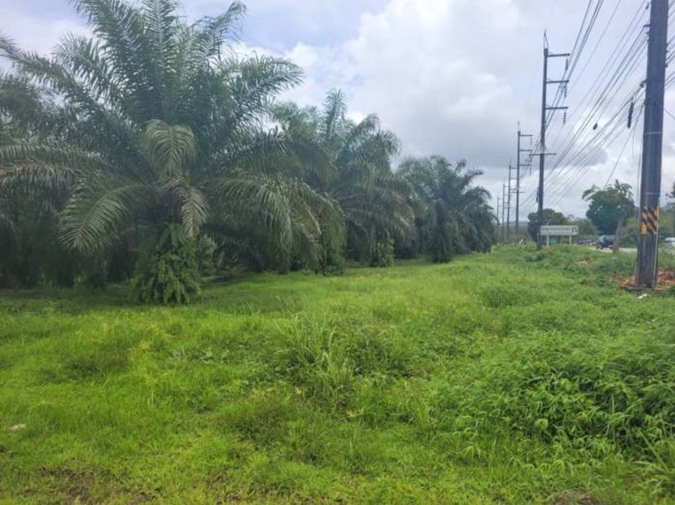 ขาย ที่ดิน ที่สวย ทำเลดี ตะกั่วทุ่ง พังงา