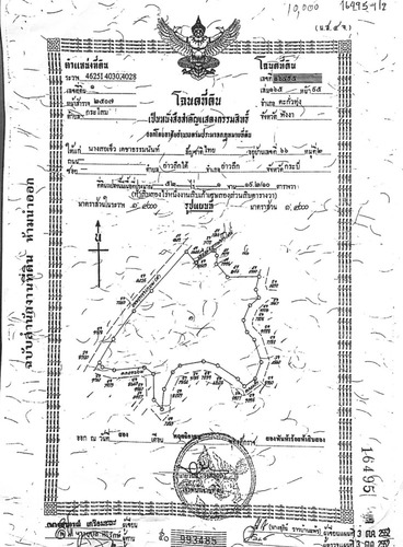 ขาย ที่ดิน ที่สวย ทำเลดี ตะกั่วทุ่ง พังงา