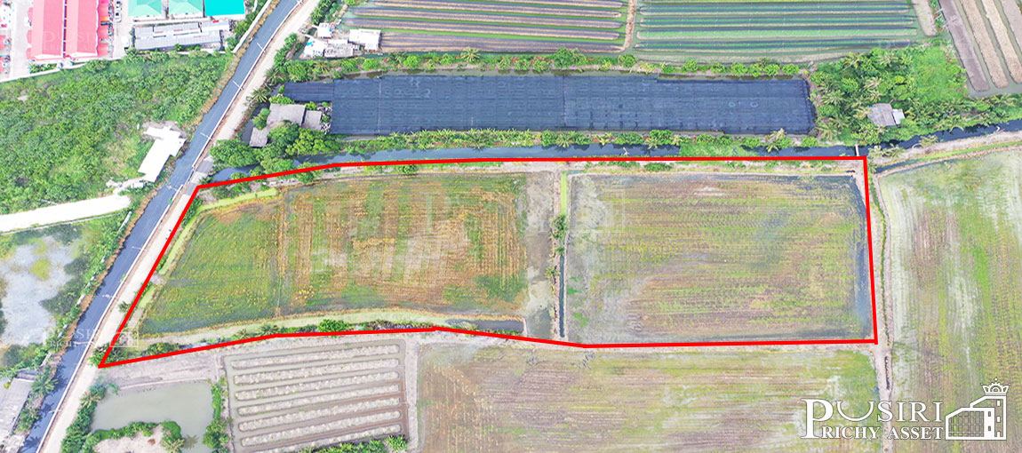 ซื้อทำกำไรได้มากกว่า 100 % กับที่ทรงสวย 14 ไร่เศษ หน้ากว้าง 97 ม. ใกล้ ถ. ตัดใหม่ กัลปพฤกษ์ พุทธสาคร kk5104s