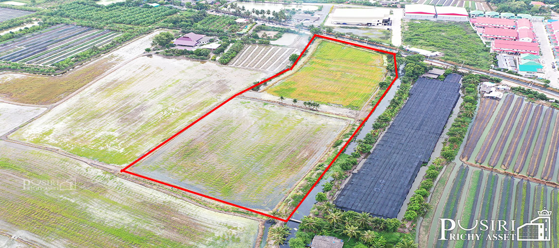 ซื้อทำกำไรได้มากกว่า 100 % กับที่ทรงสวย 14 ไร่เศษ หน้ากว้าง 97 ม. ใกล้ ถ. ตัดใหม่ กัลปพฤกษ์ พุทธสาคร kk5104s