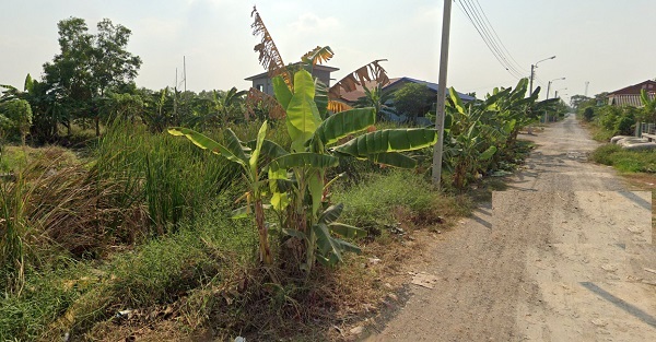  ขายที่ดินคลองเก้า เขตหนองจอก เนื้อที่ 200ตรว  ใกล้ สน.ลำหิน โรงพยาบาลคลองสามวา หน้ากว้างประมาณ 22 เหมาะสำหรับสร้างบ้านเพื่ออยู่อาศัย ห้องพัก หรือเพื่อเก็งกำไรในอนาคต