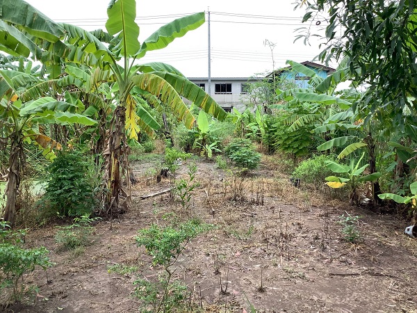  ขายที่ดินคลองเก้า เขตหนองจอก เนื้อที่ 200ตรว  ใกล้ สน.ลำหิน โรงพยาบาลคลองสามวา หน้ากว้างประมาณ 22 เหมาะสำหรับสร้างบ้านเพื่ออยู่อาศัย ห้องพัก หรือเพื่อเก็งกำไรในอนาคต