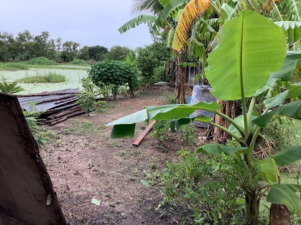  ขายที่ดินคลองเก้า เขตหนองจอก เนื้อที่ 200ตรว  ใกล้ สน.ลำหิน โรงพยาบาลคลองสามวา หน้ากว้างประมาณ 22 เหมาะสำหรับสร้างบ้านเพื่ออยู่อาศัย ห้องพัก หรือเพื่อเก็งกำไรในอนาคต