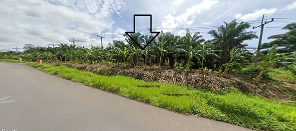  ขายที่ดิน 20-2-54 ไร่ ถนนเพชรเกษม ต.วังใหม่ อ.เมือง จังหวัดชุมพร ไม่ไกลจากแยกปฐมพร ทางไประนอง หน้ากว้างติดถนนเพชรเกษม 160 เมตร  ลึก280 เมตร 