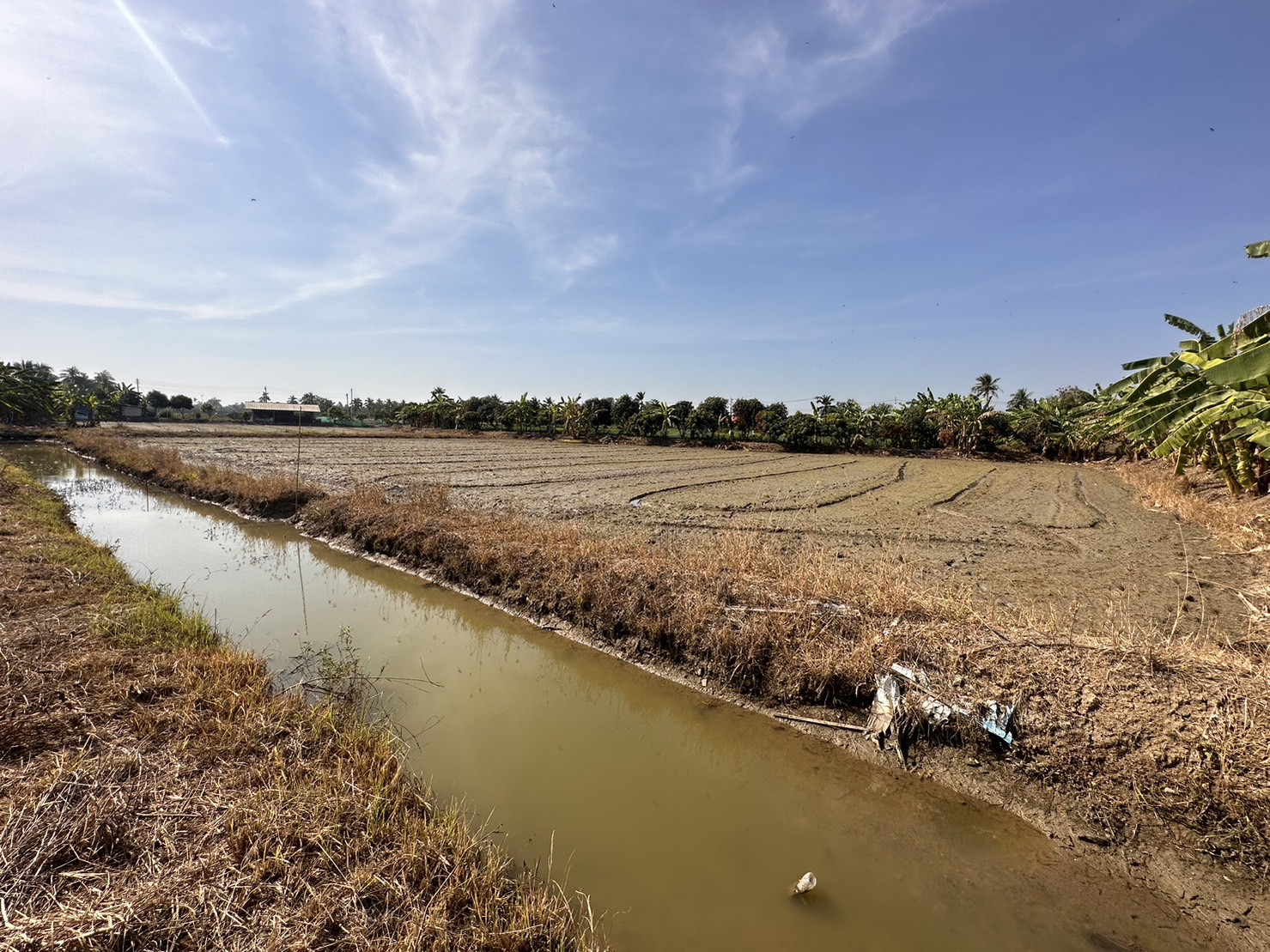 ขายที่ดิน 8 ไร่ แปลงสี่เหลี่ยมหน้าติดถนนหน้ากว้าง 100 ม. หลังติดคลอง เหมาะแก่การทำธุรกิจ,ที่ดินจัดสรร พิกัดใกล้วัดหัวยพลู นครชัยศรี