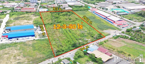 สร้างโรงงานได้ 13,000 ตร.ม. กับที่สีม่วงเกือบ 13 ไร่ ฮวงจุ้ยดีหน้ากว้าง 94 ม. หันทิศใต้ รถเทรลเลอร์เข้า - ออกสะดวก ใกล้ถนนเศรษฐกิจเเละพุทธสาคร kk5113s