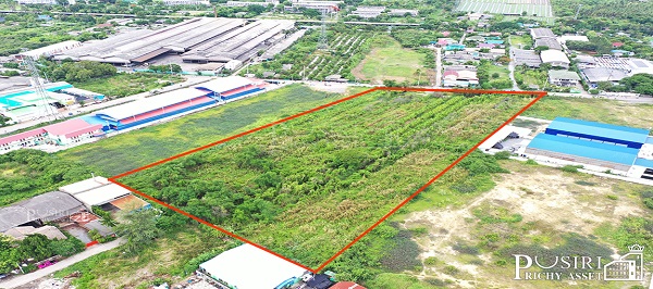สร้างโรงงานได้ 13,000 ตร.ม. กับที่สีม่วงเกือบ 13 ไร่ ฮวงจุ้ยดีหน้ากว้าง 94 ม. หันทิศใต้ รถเทรลเลอร์เข้า - ออกสะดวก ใกล้ถนนเศรษฐกิจเเละพุทธสาคร kk5113s