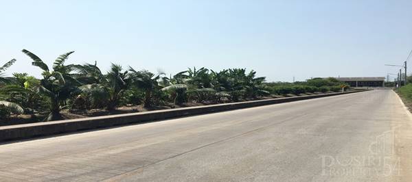 เพิ่มความสวยและความสะดวก กับที่ดิน 14 ไร่เศษ ติดถนน 2 ด้าน พร้อมหน้ากว้าง 276 ม. ถนนเลียบคลองสี่วา-เอกชัย - KK3460S