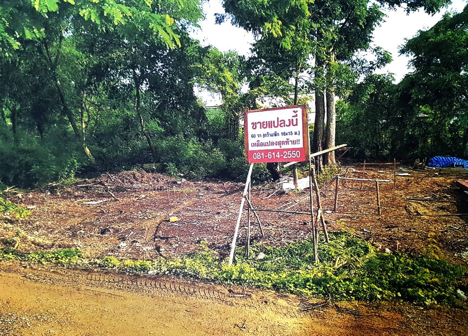 ขายที่ดิน ถมแล้ว คลอง 4 คลองหลวง ใกล้วัดพระธรรมกาย ปทุมธานี