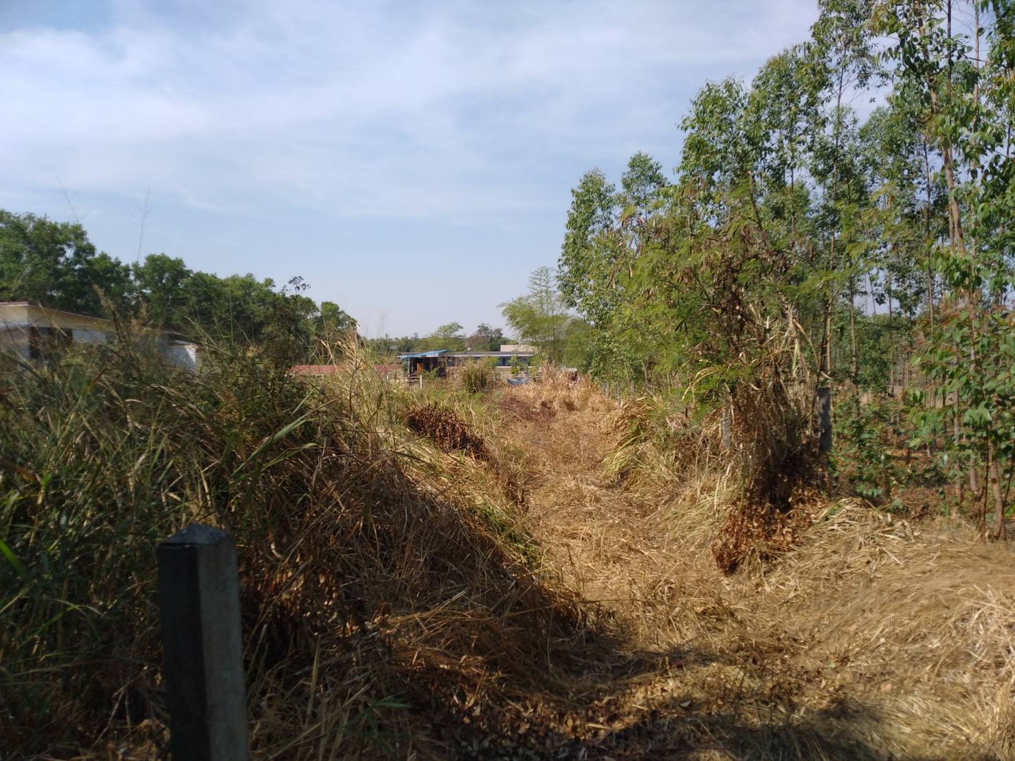 ขายที่ดิน 0-1-49.6 THB500,000 นาข่า เมือง อุดรธานี