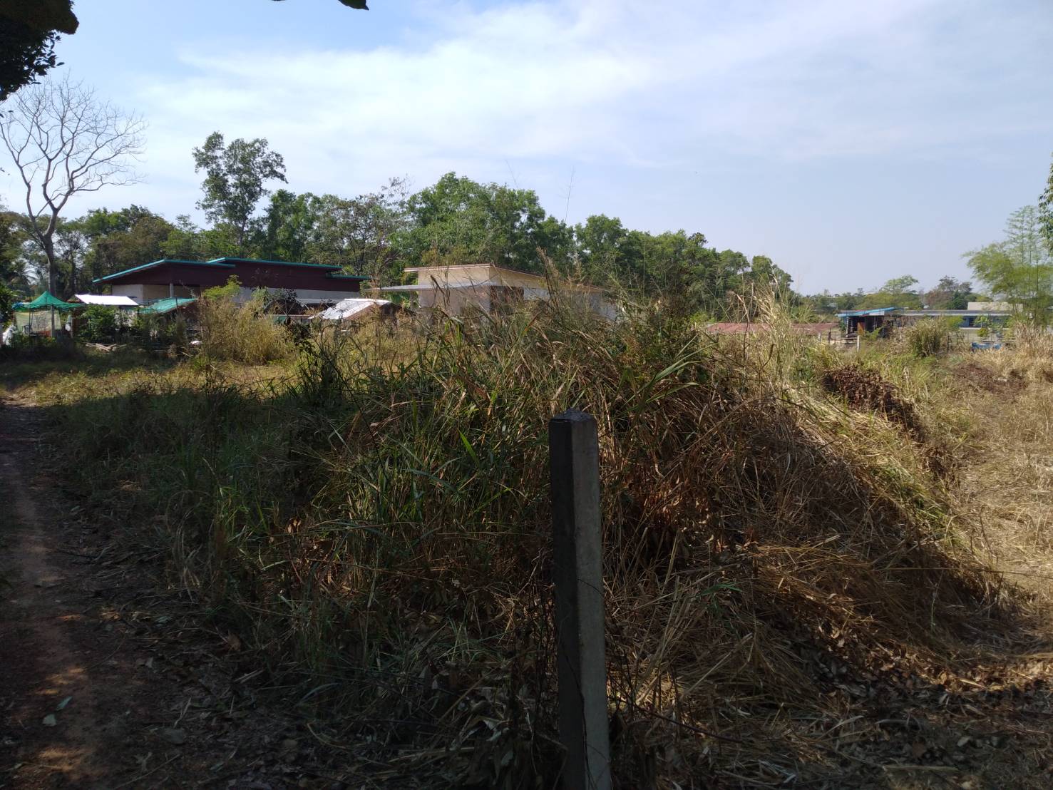 ขายที่ดิน 0-1-49.6 THB500,000 นาข่า เมือง อุดรธานี