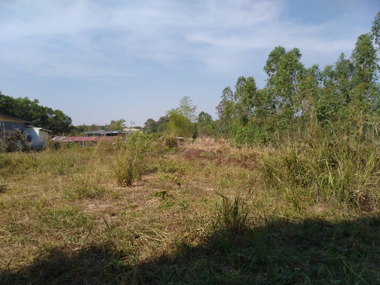 ขายที่ดิน 0-1-49.6 THB500,000 นาข่า เมือง อุดรธานี
