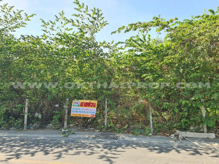 ที่ดิน ถ.สุขุมวิท (สำโรง) จ.สมุทรปราการ