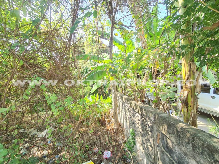 ที่ดิน ถ.สุขุมวิท (สำโรง) จ.สมุทรปราการ