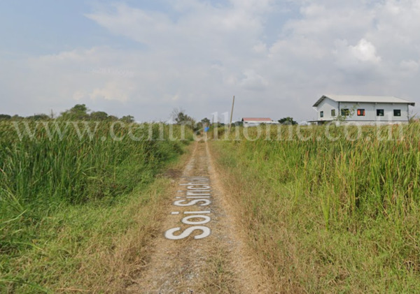 ที่ดินสวย ลาดกระบัง ถนน คุ้มเกล้า