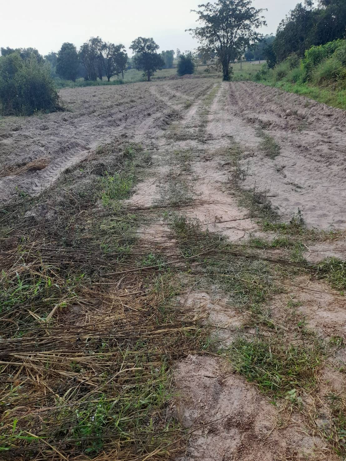 ขายที่ดิน 50-2-73 THB8,362,613 อุ่มจาน ประจักษ์ศิลปาคม อุดรธานี