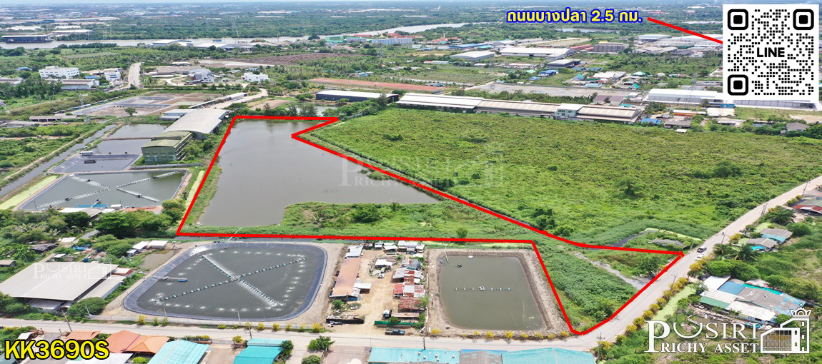 ที่สีม่วง 14 ไร่เศษ ราคาที่ต่ำกว่าราคาตลาด 35% เข้าออกได้ถึง 3 เส้นทาง ใกล้ ถ.บางปลา ถ.เศรษฐกิจ และ ถ.พระราม 2  KK3690S