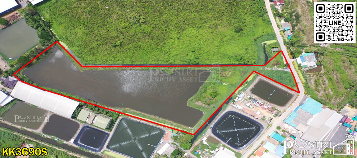 ที่สีม่วง 14 ไร่เศษ ราคาที่ต่ำกว่าราคาตลาด 35% เข้าออกได้ถึง 3 เส้นทาง ใกล้ ถ.บางปลา ถ.เศรษฐกิจ และ ถ.พระราม 2  KK3690S