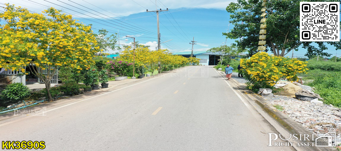 ที่สีม่วง 14 ไร่เศษ ราคาที่ต่ำกว่าราคาตลาด 35% เข้าออกได้ถึง 3 เส้นทาง ใกล้ ถ.บางปลา ถ.เศรษฐกิจ และ ถ.พระราม 2  KK3690S