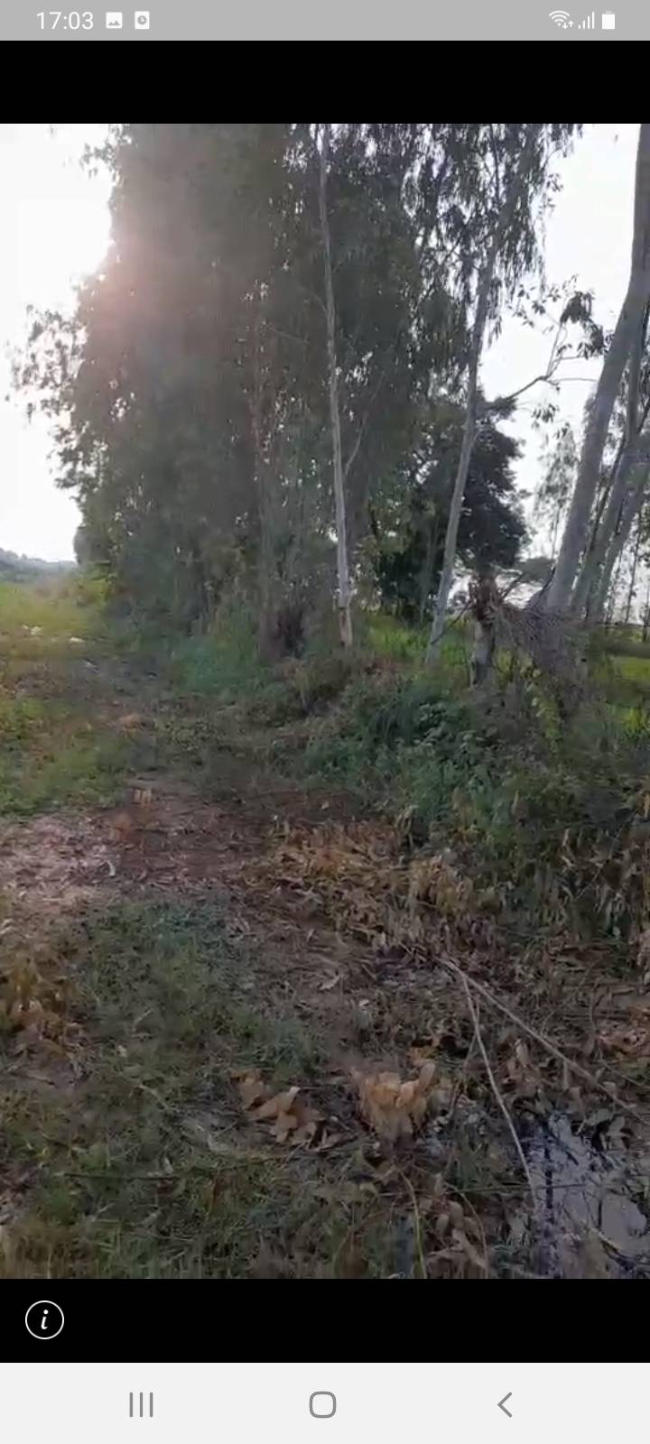 ขายที่ดิน 39-3-44 THB5,979,000 หนองไผ่ หนองหาน อุดรธานี