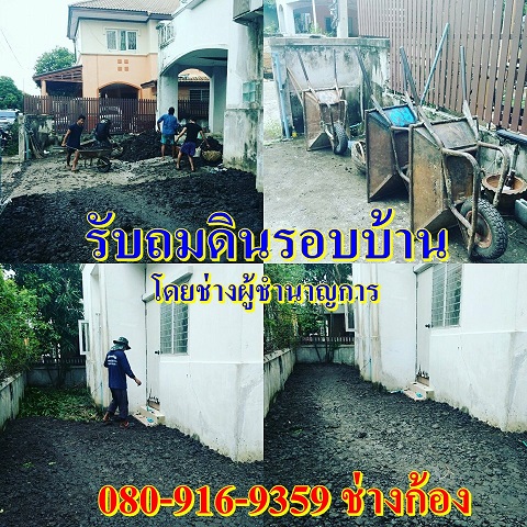 #ปิดโพรงใต้บ้าน ปิดโพรงรอบบ้าน รับถมดินโดยใช้แรงงานคนขนดิน โดยช่างผู้ชำนาญการ รวดเร็ว เรียบร้อย งานดี 0809169359 #ก้องเมืองนน์