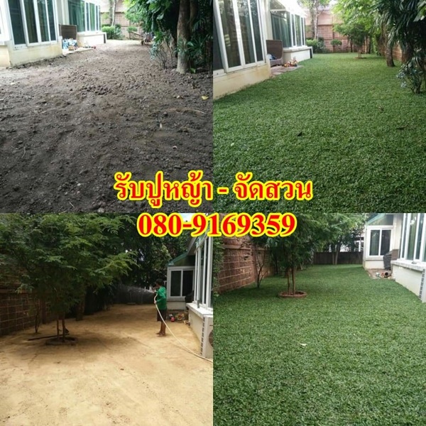 #ปิดโพรงใต้บ้าน ปิดโพรงรอบบ้าน รับถมดินโดยใช้แรงงานคนขนดิน โดยช่างผู้ชำนาญการ รวดเร็ว เรียบร้อย งานดี 0809169359 #ก้องเมืองนน์