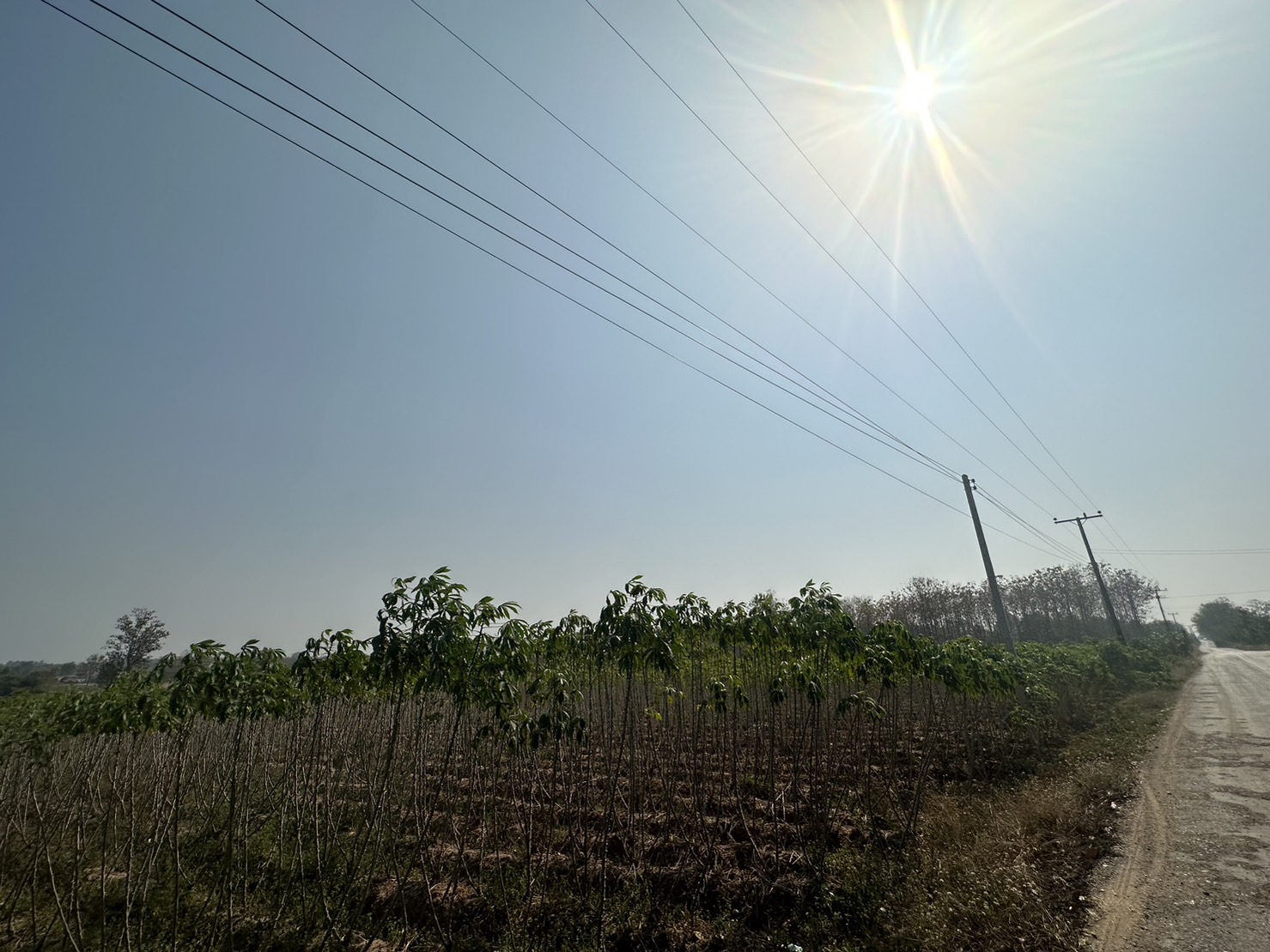 ขายที่ดิน 19-3-95.7 THB10,000,000 นิคมสงเคราะห์ เมือง อุดรธานี