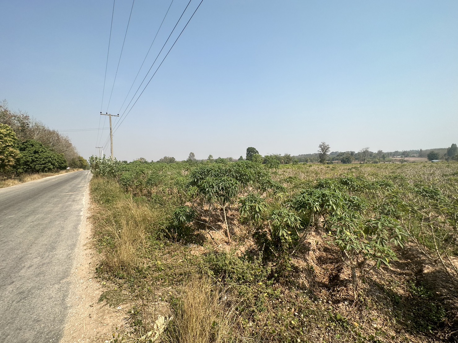 ขายที่ดิน 19-3-95.7 THB10,000,000 นิคมสงเคราะห์ เมือง อุดรธานี
