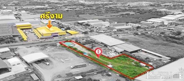 ขายที่สวยถมแล้ว ทำเลสุดปัง เนื้อที่ 983.1 ตารางวา ติดถนนเศรษฐกิจ ใกล้ ถนนตัดใหม่ กัลปพฤกษ์  ในราคาคุ้มค่า
