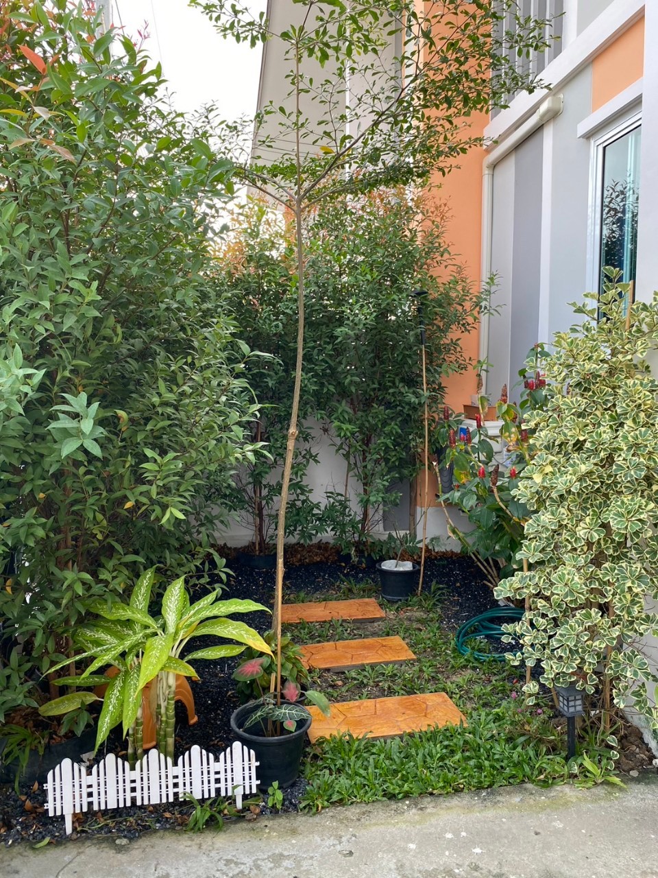 บ้านชั้นเดียว หมู่บ้านเดอะมันนี่ ย่าน ราชมงคลคลอง6 ธัญบุรี