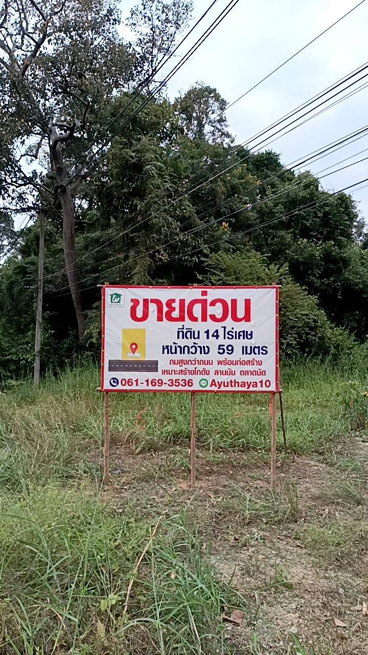 ขายด่วน ที่ดิน พร้อมโอน ติดถนนแจ้งสนิท ใกล้ปศุสัตว์ ยโสธร