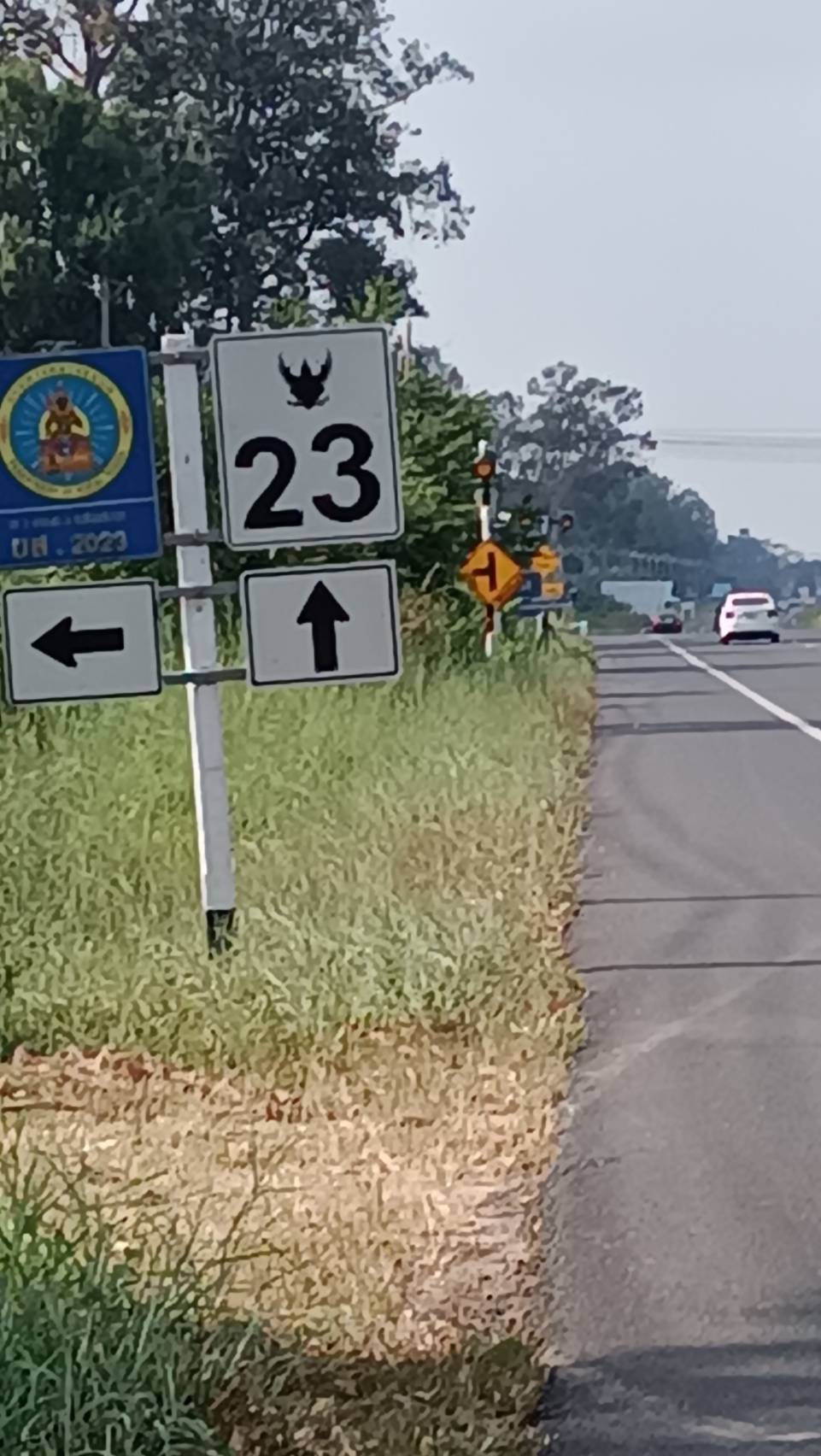 ขายด่วน ที่ดิน พร้อมโอน ติดถนนแจ้งสนิท ใกล้ปศุสัตว์ ยโสธร