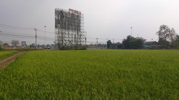 ขายที่ดิน 7 ไร่ ริมถนน สาย345 ใกล้ทางลงถนนราชพฤกษ์   อ.ปากเกร็ด จ.นนทบุรี หน้ากว้างประมาณ 120ม.  หลังที่ดิน ติดหมู่บ้านฟ้าใหม่