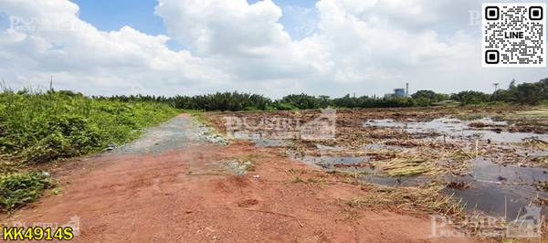 ขายที่สีม่วง ราคาถูกมาก 14.5 ไร่ แถมที่ให้อีก 667 วา ใกล้ทั้ง ถ. เศรษฐกิจเเละพระราม2 - kk4914s
