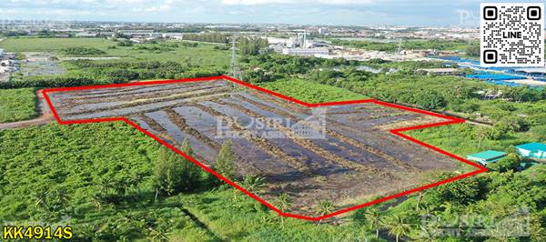 ขายที่สีม่วง ราคาถูกมาก 14.5 ไร่ แถมที่ให้อีก 667 วา ใกล้ทั้ง ถ. เศรษฐกิจเเละพระราม2 - kk4914s