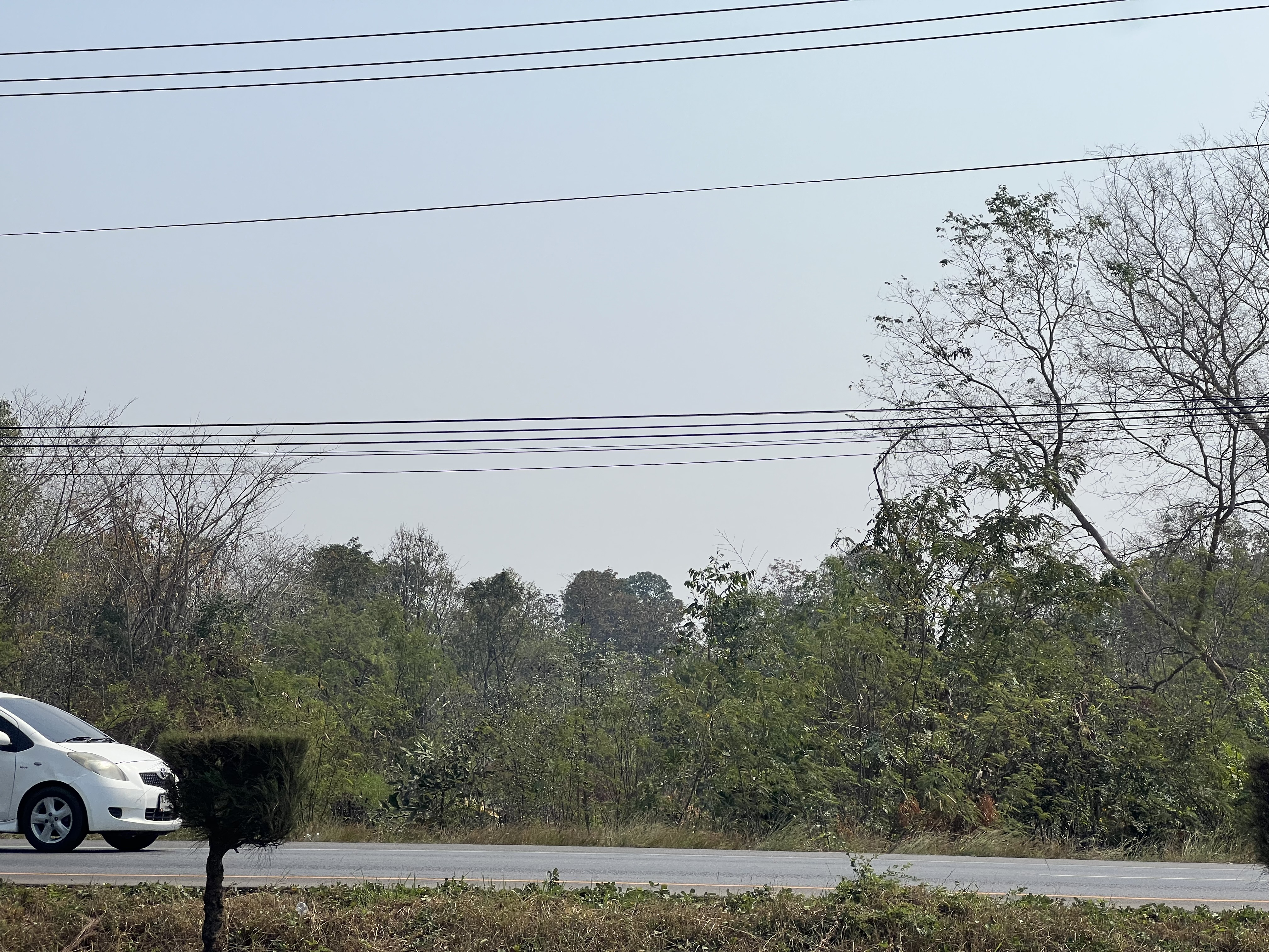 ขายที่ดินถนนมิตรภาพ เนื้อที่ 6 ไร่ ตำบลบ้านไผ่ อำเภอบ้านไผ่ จังหวัดขอนแก่น