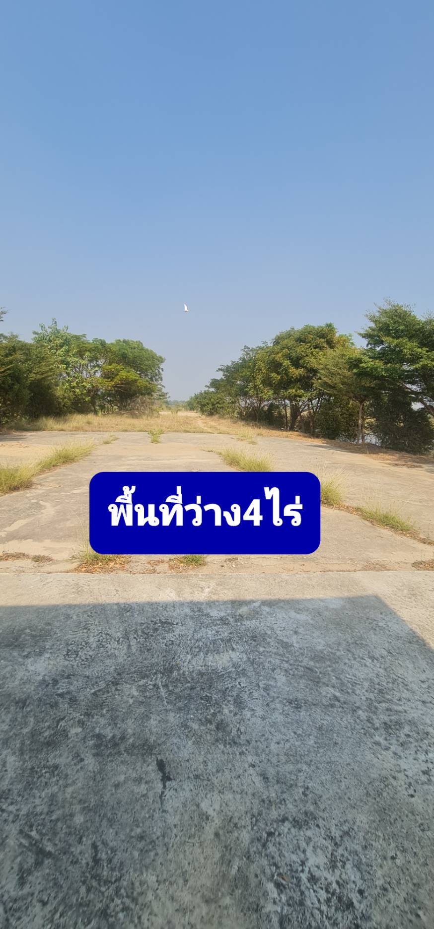 ให้เช่าที่ดินพร้อมโดมอาคารขนาด3-6ไร่