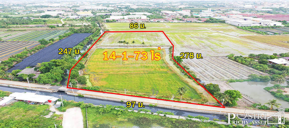 ซื้อทำกำไรได้มากกว่า 100 %  ที่ทรงสวย 14 ไร่เศษ หน้ากว้าง 97 ม. ใกล้ ถ. ตัดใหม่ กัลปพฤกษ์ พุทธสาคร kk5104s