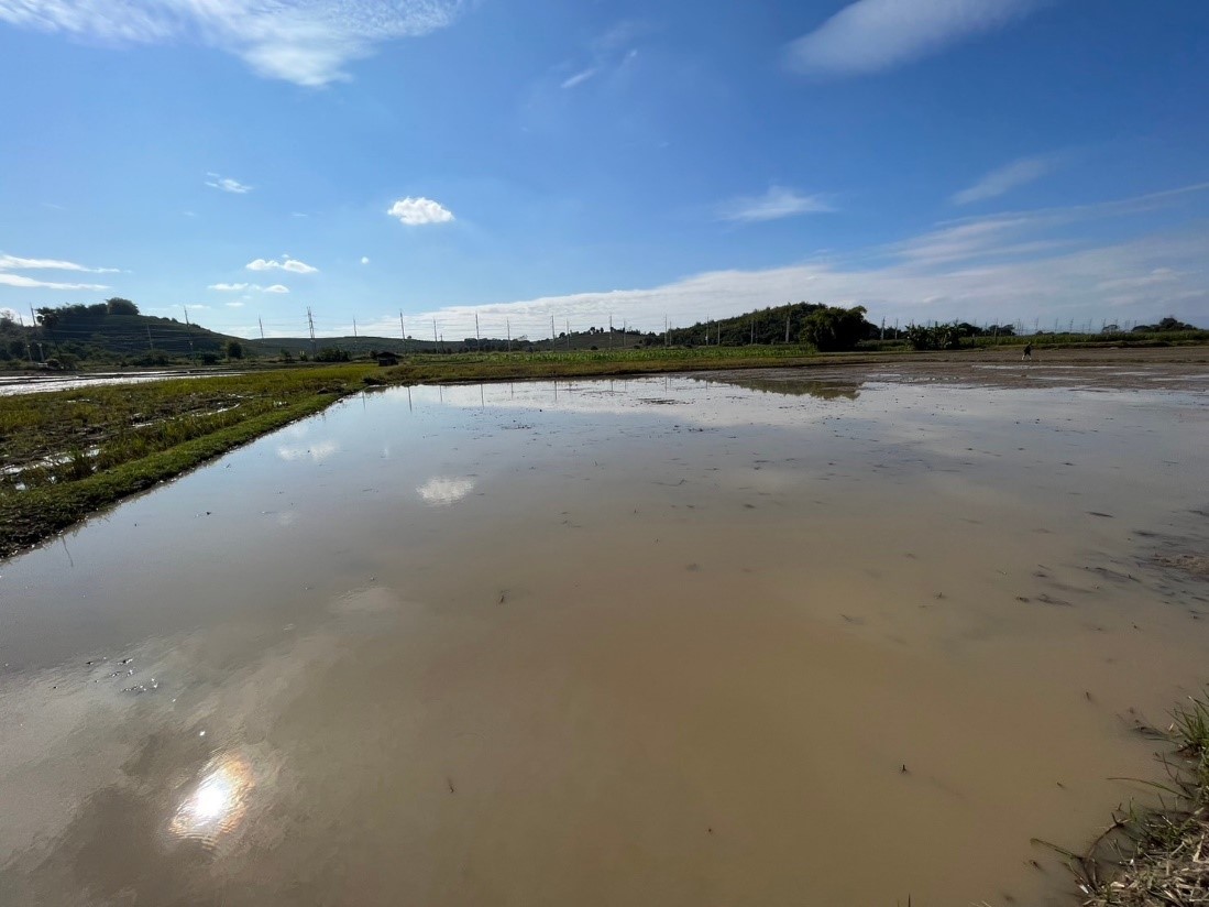 ขายที่ดินเปล่าสวย ทำเลดี เหมาะทำธุรกิจได้หลายอย่าง อ.เชียงแสน จ.เชียงราย