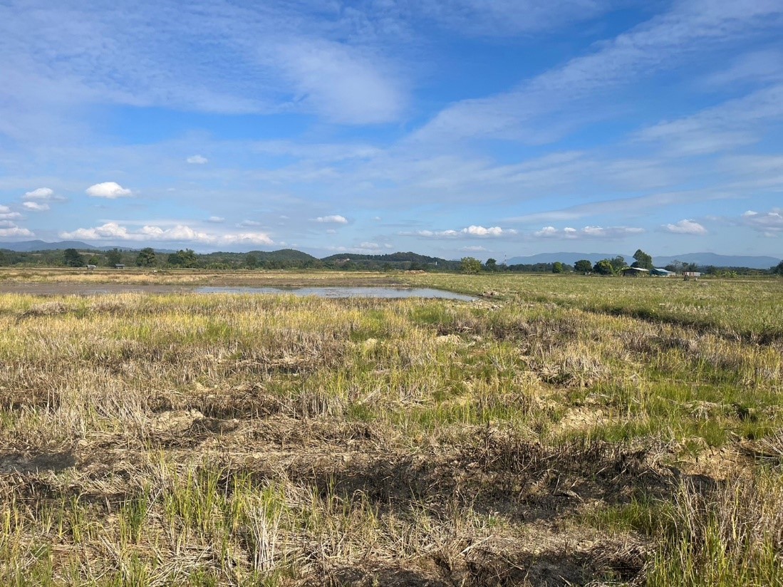 ขายที่ดินเปล่าสวย ทำเลดี เหมาะทำธุรกิจได้หลายอย่าง อ.เชียงแสน จ.เชียงราย