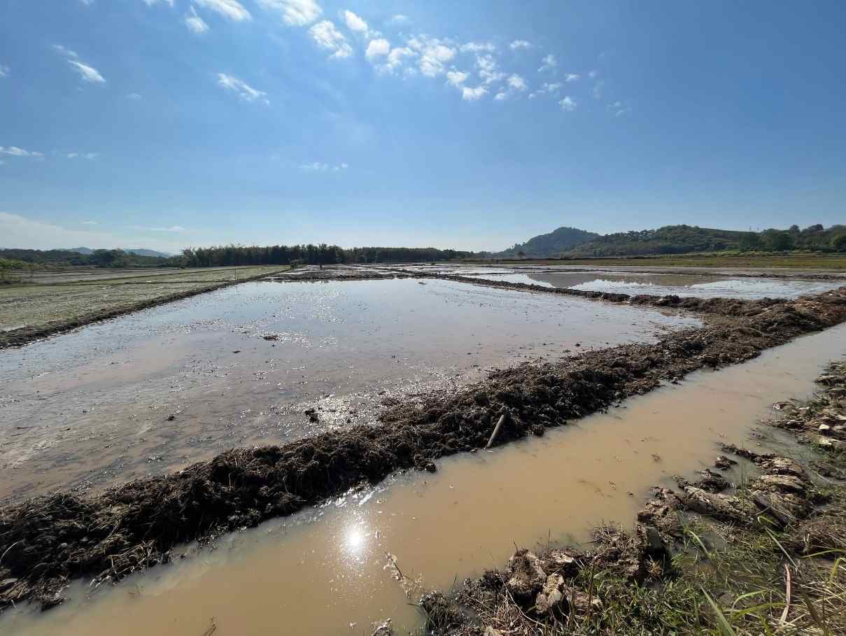 ขายที่ดินเปล่า เหมาะทำการเกษตร ทำเลดี อ.เชียงแสน จ.เชียงราย