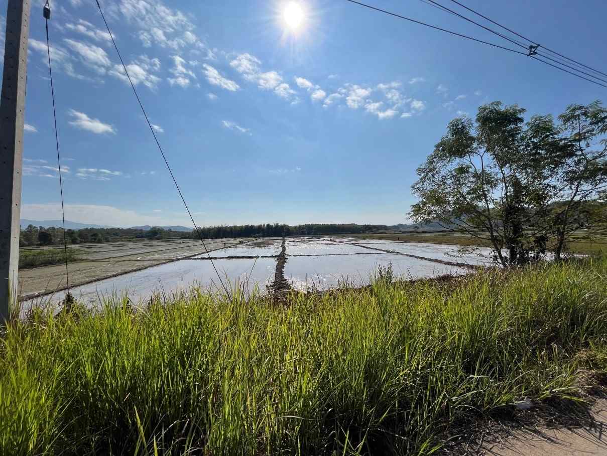 ขายที่ดินเปล่า เหมาะทำการเกษตร ทำเลดี อ.เชียงแสน จ.เชียงราย