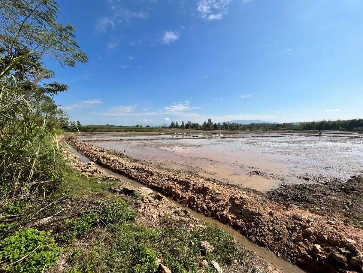 ขายที่ดินเปล่า เหมาะทำการเกษตร ทำเลดี อ.เชียงแสน จ.เชียงราย