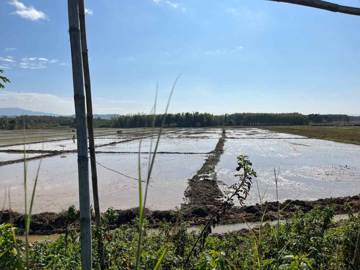 ขายที่ดินเปล่า เหมาะทำการเกษตร ทำเลดี อ.เชียงแสน จ.เชียงราย