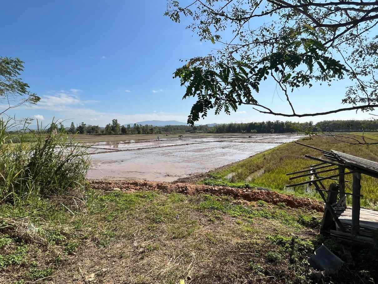 ขายที่ดินเปล่า เหมาะทำการเกษตร ทำเลดี อ.เชียงแสน จ.เชียงราย