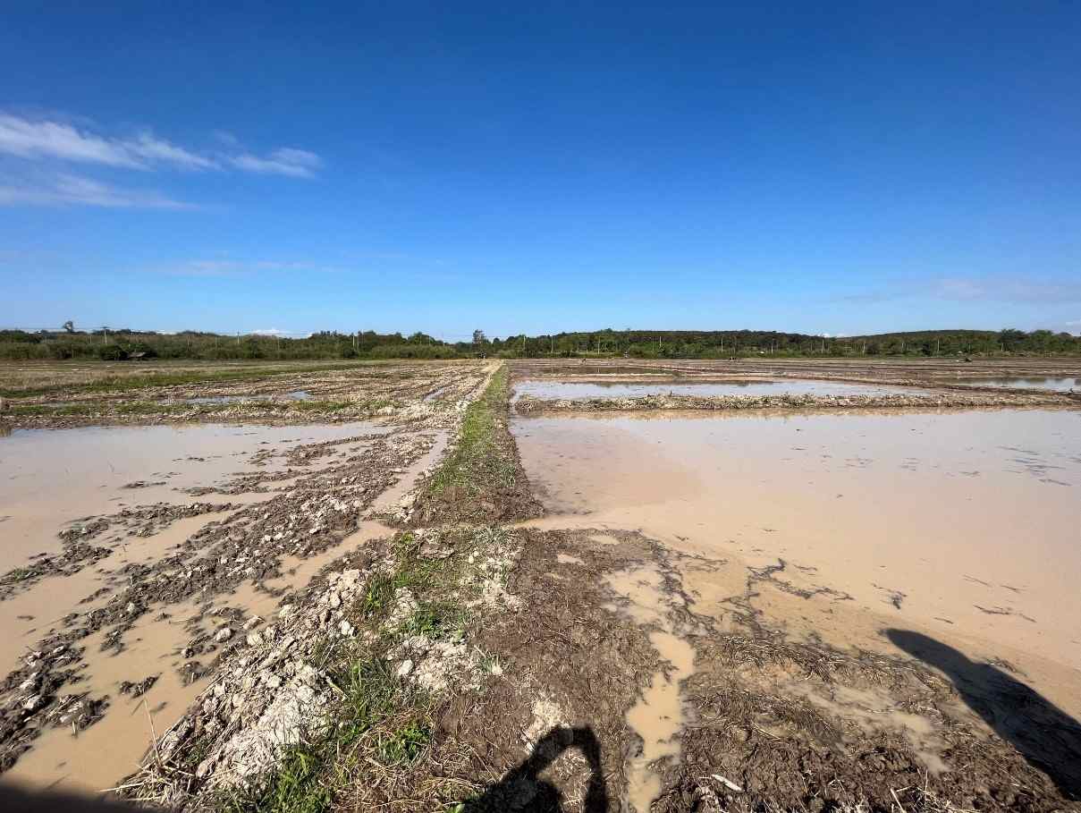 ขายที่ดินเปล่า เหมาะทำการเกษตร ทำเลดี อ.เชียงแสน จ.เชียงราย