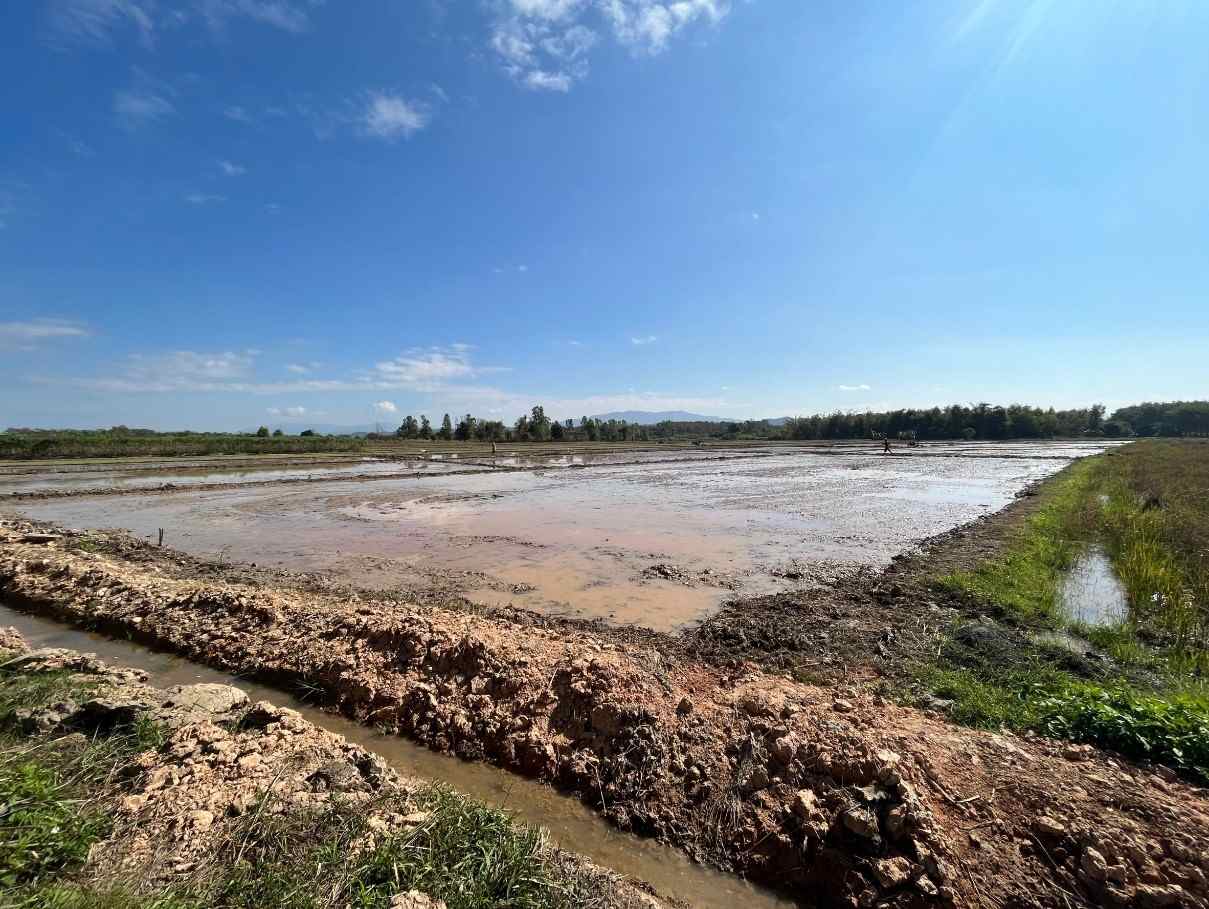 ขายที่ดินเปล่า เหมาะทำการเกษตร ทำเลดี อ.เชียงแสน จ.เชียงราย