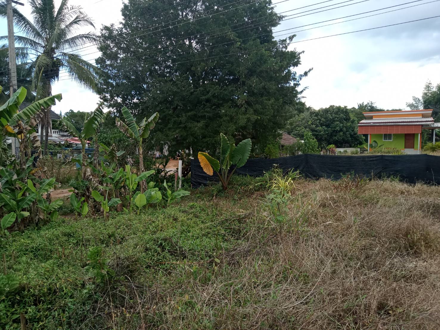 ขายที่ดินสวยทำเลดี เหมาะกับการค้าขาย จังหวัดเลย